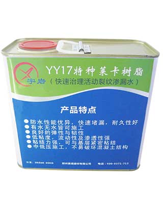 YY17 Special Leica resin
