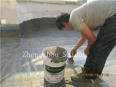 YY36 Special Weatherable Waterproof Coating